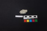 陶片藏品圖，第2張