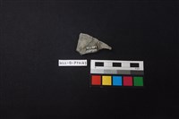 陶片藏品圖，第2張