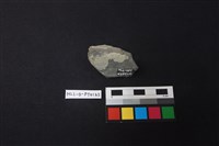 陶片藏品圖，第2張