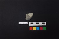 陶片藏品圖，第2張