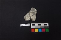 陶片藏品圖，第2張