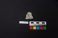 陶片藏品圖，第2張