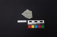 陶片藏品圖，第2張