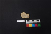 陶片藏品圖，第2張