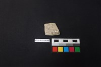 陶片藏品圖，第2張