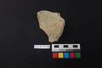 陶片藏品圖，第2張