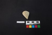 陶缽藏品圖，第1張