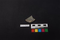 陶片藏品圖，第2張