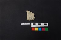 陶片藏品圖，第2張