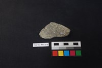 陶片藏品圖，第2張