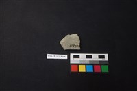 陶片藏品圖，第2張