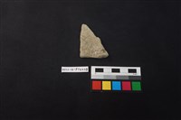 陶片藏品圖，第2張