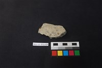 陶片藏品圖，第2張