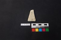 陶片藏品圖，第2張