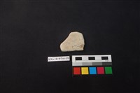 陶片藏品圖，第2張