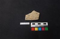 陶片藏品圖，第2張