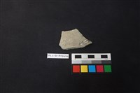 陶片藏品圖，第2張