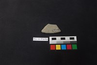 陶片藏品圖，第2張