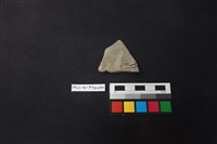 陶片藏品圖，第2張