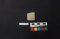 陶片藏品圖，第2張