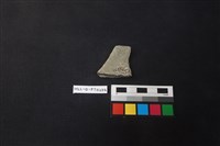 陶片藏品圖，第2張