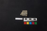 陶片藏品圖，第2張