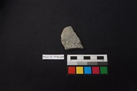 陶片藏品圖，第2張