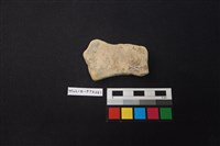 陶片藏品圖，第2張