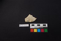 陶片藏品圖，第2張