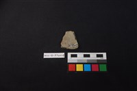 陶片藏品圖，第2張