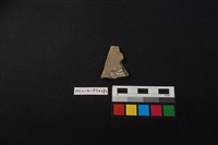 陶片藏品圖，第2張