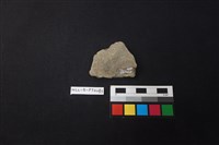 陶片藏品圖，第2張