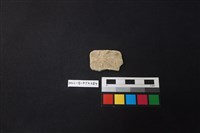 陶片藏品圖，第1張