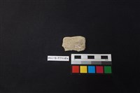 陶片藏品圖，第2張