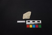 陶片藏品圖，第2張