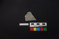 陶片藏品圖，第2張