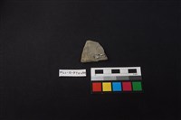 陶片藏品圖，第2張