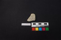 陶片藏品圖，第2張