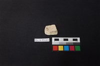 陶片藏品圖，第2張