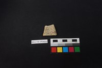 陶片藏品圖，第2張