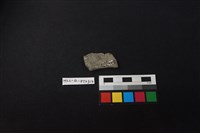 陶片藏品圖，第2張