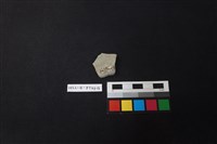 陶片藏品圖，第2張