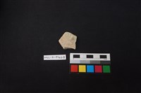 陶片藏品圖，第1張