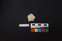 陶片藏品圖，第2張