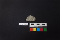 陶片藏品圖，第2張