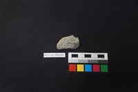 陶片藏品圖，第2張