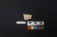 陶片藏品圖，第2張