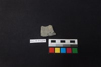 陶片藏品圖，第2張