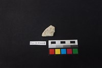 陶片藏品圖，第1張