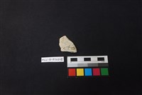 陶片藏品圖，第2張